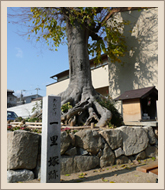 大宅一里塚
