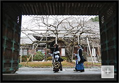 舟山 周「父子と桜」